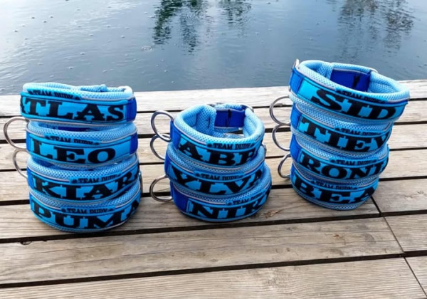 NASTAVITEĽNÝOBOJOK šírka2,5cm 2